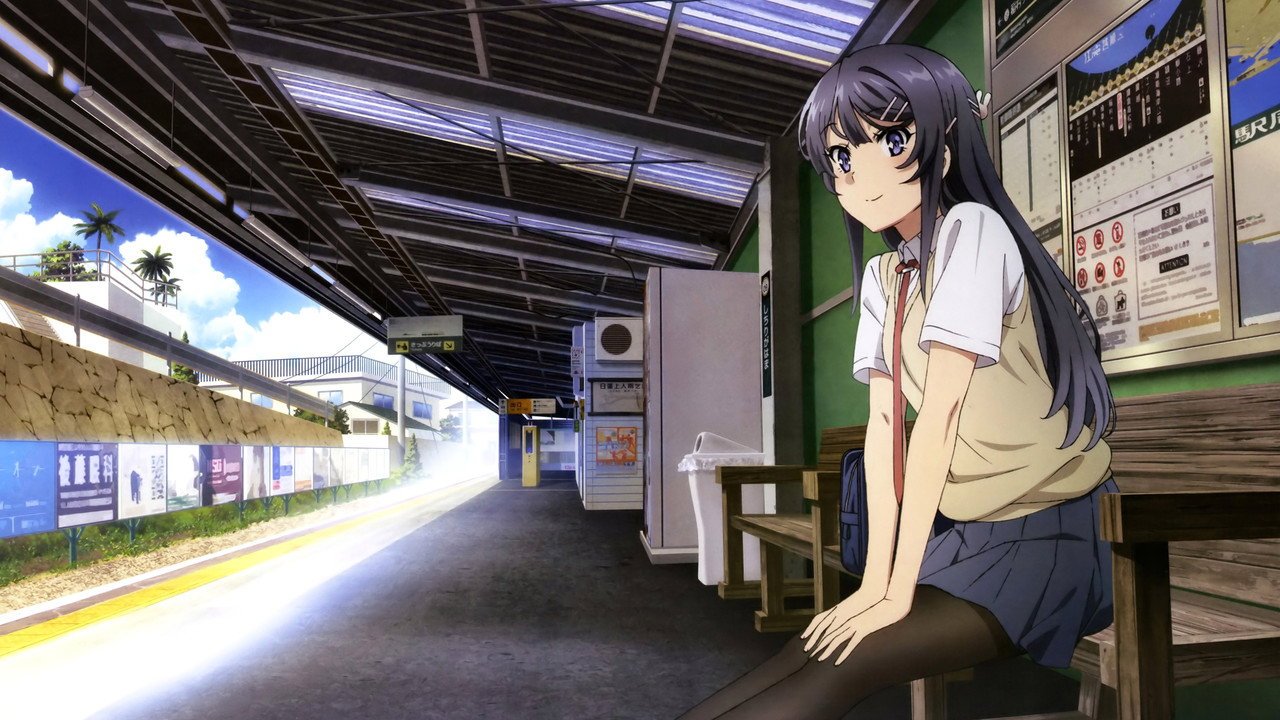 Rascal Does Not Dream anime wallpaper